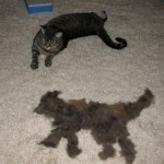 furminator