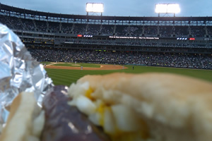 Cellular Field from the view of a hotdog